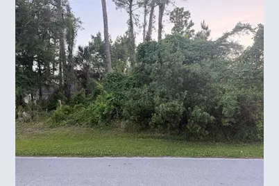 41 Woodlyn Lane, Palm Coast, FL 32164 - Photo 3