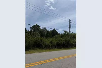 174 Bird Of Paradise Drive, Palm Coast, FL 32137 - Photo 3