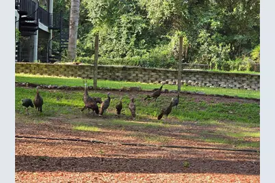 2905 Creek Street, Middleburg, FL 32068 - Photo 53