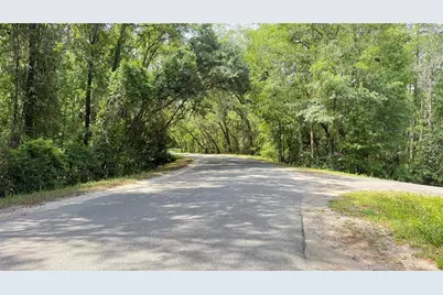 2905 Creek Street, Middleburg, FL 32068 - Photo 37
