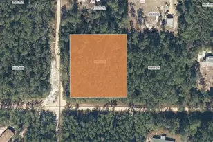 Xx Blossom, Florahome, FL 32140 - Photo 1