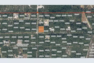 Xx Blossom, Florahome, FL 32140 - Photo 3
