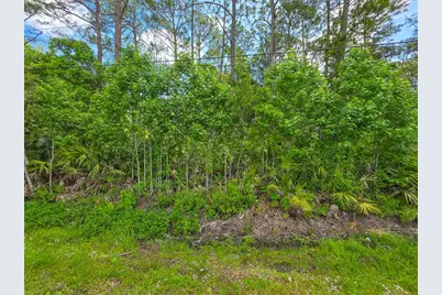 9152 U S Highway 1, Saint Augustine, FL 32086 - Photo 5