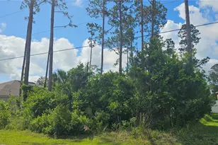 13 Robin Hood Ln, Palm Coast, FL 32164 - Photo 1