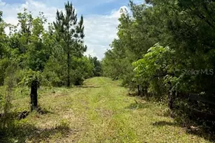 459 County Road 2006 E, Bunnell, FL 32110 - Photo 1