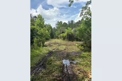 459 County Road 2006 E, Bunnell, FL 32110 - Photo 3