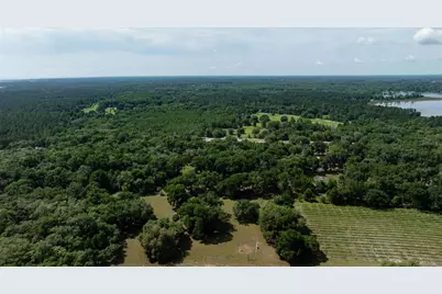 374 Sisco Road, Pomona Park, FL 32181 - Photo 31