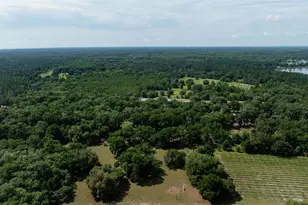374 Sisco Rd, Pomona Park, FL 32181 - Photo 31
