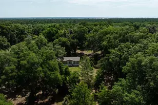 374 Sisco Rd, Pomona Park, FL 32181 - Photo 37