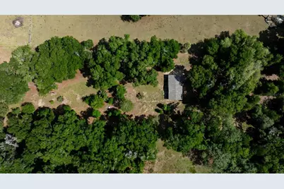 374 Sisco Road, Pomona Park, FL 32181 - Photo 29