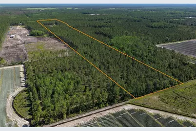15539 County Rd 305, Bunnell, FL 32110 - Photo 27