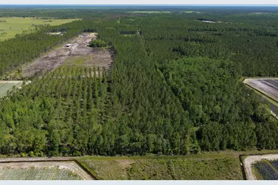 15539 County Rd 305, Bunnell, FL 32110 - Photo 19