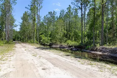 15539 County Rd 305, Bunnell, FL 32110 - Photo 3