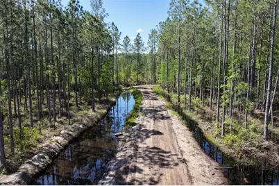 15539 County Rd 305, Bunnell, FL 32110 - Photo 17