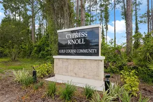 24 Egan Dr, Palm Coast, FL 32164 - Photo 45