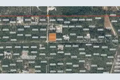 Xx Pine Way, Interlachen, FL 32148 - Photo 3