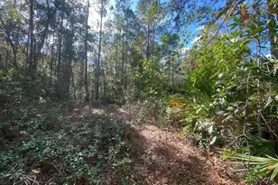 820 Old Bubbly Rd, Pierson, FL 32180 - Photo 1