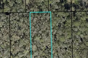 3740 Evergreen Ave, Bunnell, FL 32110 - Photo 1