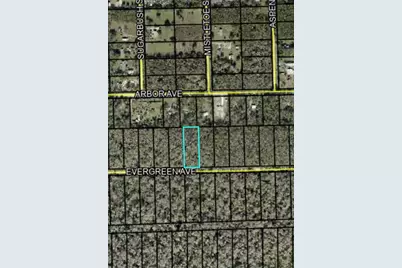 3740 Evergreen Avenue, Bunnell, FL 32110 - Photo 3
