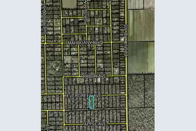 3741 Evergreen Avenue, Bunnell, FL 32110 - Photo 3
