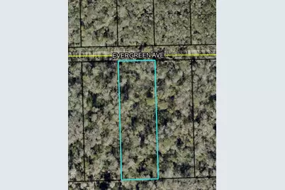 3741 Evergreen Avenue, Bunnell, FL 32110 - Photo 1
