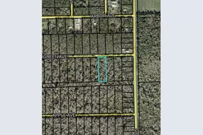 3599 Evergreen Avenue, Bunnell, FL 32110 - Photo 3