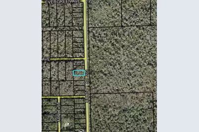2166 Cr-305, Bunnell, FL 32110 - Photo 3