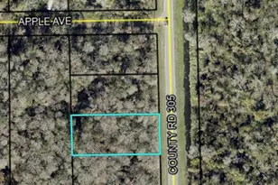 2166 Cr-305, Bunnell, FL 32110 - Photo 1