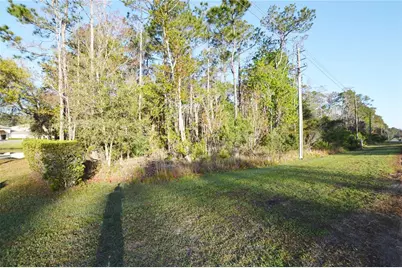 Xxxx Pine Lakes Parkway, Palm Coast, FL 32164 - Photo 7