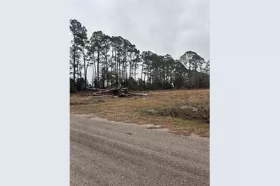 9600 Light Avenue, Hastings, FL 32145 - Photo 13