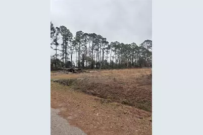 9600 Light Avenue, Hastings, FL 32145 - Photo 1