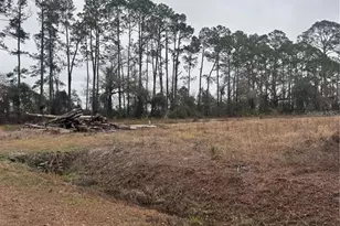 9600 Light Ave, Hastings, FL 32145 - Photo 1