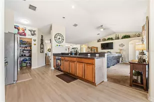 33 Royal Leaf Ln, Palm Coast, FL 32164 - Photo 13