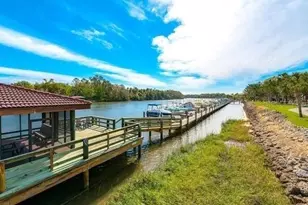 700 Canopy Walk Ln, Palm Coast, FL 32137 - Photo 55