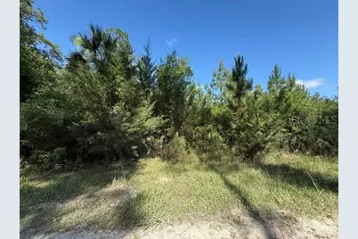 County Road 75, Bunnell, FL 32110 - Photo 1