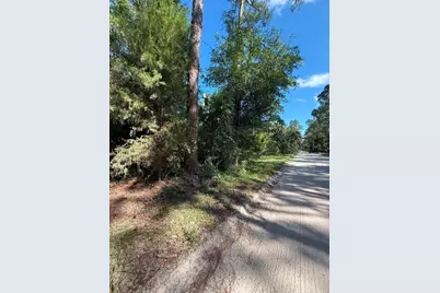 County Road 75, Bunnell, FL 32110 - Photo 7
