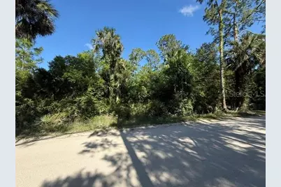 County Road 75, Bunnell, FL 32110 - Photo 3
