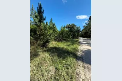 County Road 75, Bunnell, FL 32110 - Photo 5