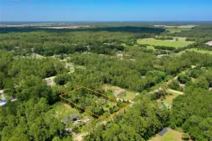 4162 Acorn Ave, Bunnell, FL 32110 - Photo 45