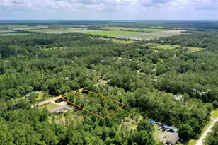 4162 Acorn Ave, Bunnell, FL 32110 - Photo 49