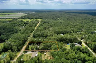 4162 Acorn Ave, Bunnell, FL 32110 - Photo 51