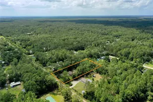4162 Acorn Ave, Bunnell, FL 32110 - Photo 53