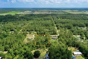 4162 Acorn Ave, Bunnell, FL 32110 - Photo 47