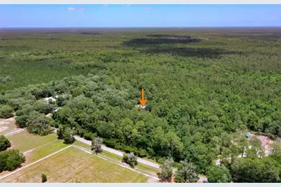 3296 N Old Dixie Highway, Bunnell, FL 32110 - Photo 3