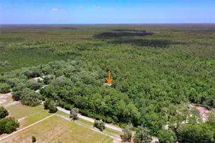 3296 N Old Dixie Hwy, Bunnell, FL 32110 - Photo 3