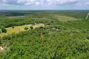 3296 N Old Dixie Hwy, Bunnell, FL 32110 - Photo 57