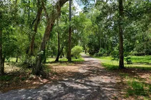 3296 N Old Dixie Hwy, Bunnell, FL 32110 - Photo 63