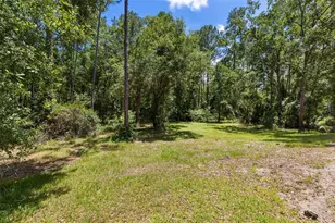 3296 N Old Dixie Hwy, Bunnell, FL 32110 - Photo 47