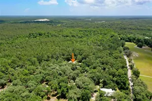 3296 N Old Dixie Hwy, Bunnell, FL 32110 - Photo 53
