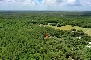 3296 N Old Dixie Hwy, Bunnell, FL 32110 - Photo 55